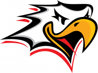 Ваасан Спорт